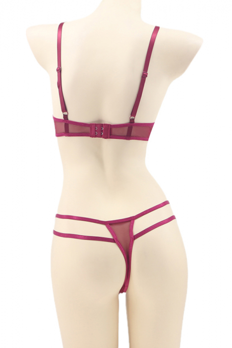 Set lenjerie sexy transparenta, cu dantela, sutien si chiloti tanga TY-LX2visiniu [2]