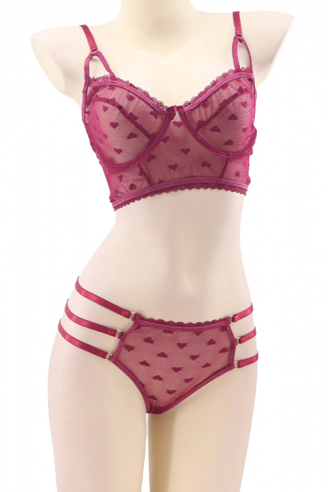 Set lenjerie sexy transparenta cu inimioare, top si chiloti brazilieni TY-LX111visiniu [2]