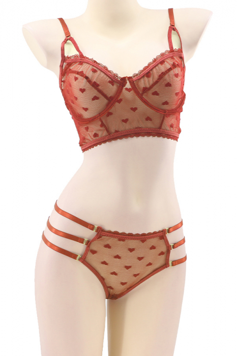 Set lenjerie sexy transparenta cu inimioare, top si chiloti brazilieni TY-LX111portocaliu [2]