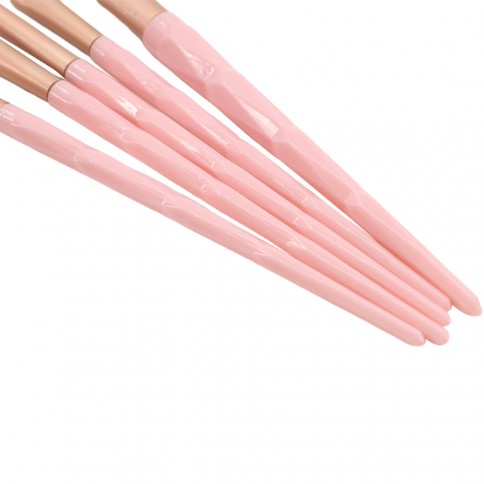 Set portabil cu 5 pensule machiaj SL-21036roz deschis [5]