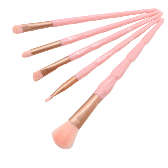 Set portabil cu 5 pensule machiaj SL-21036roz deschis [3]