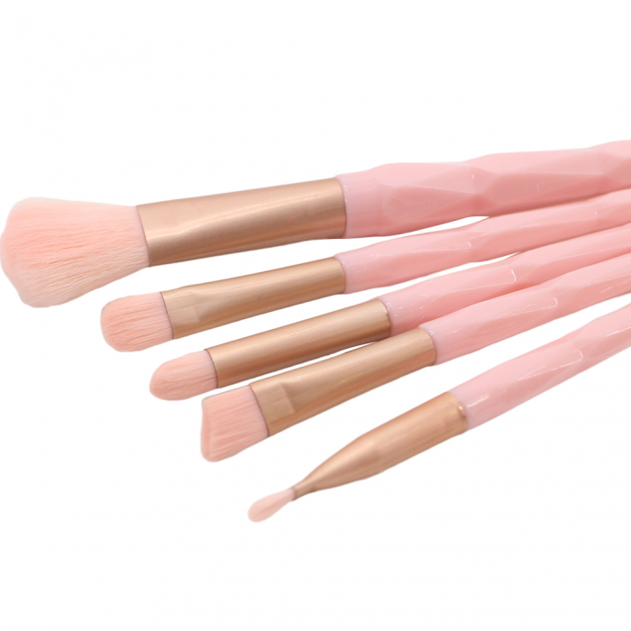 Set portabil cu 5 pensule machiaj SL-21036roz deschis [4]