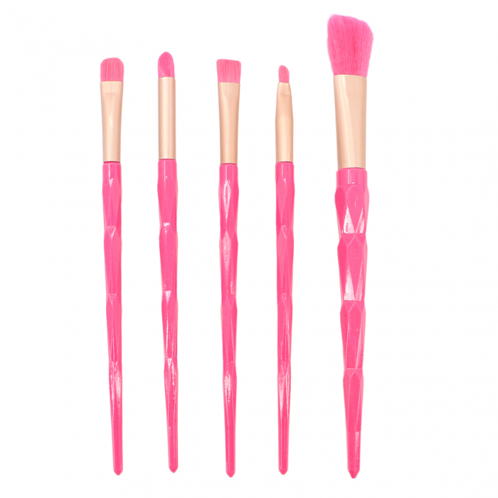Set portabil cu 5 pensule machiaj SL-21036roz inchis [1]