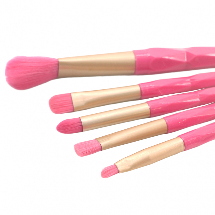 Set portabil cu 5 pensule machiaj SL-21036roz inchis [4]