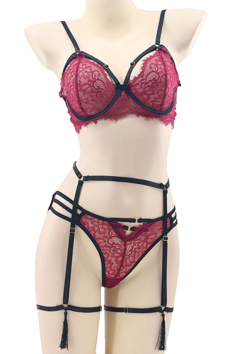 Set sexy cu dantela, sutien, chiloti brazilieni si portjartier cu ciucuri TY-LX114visiniu [2]