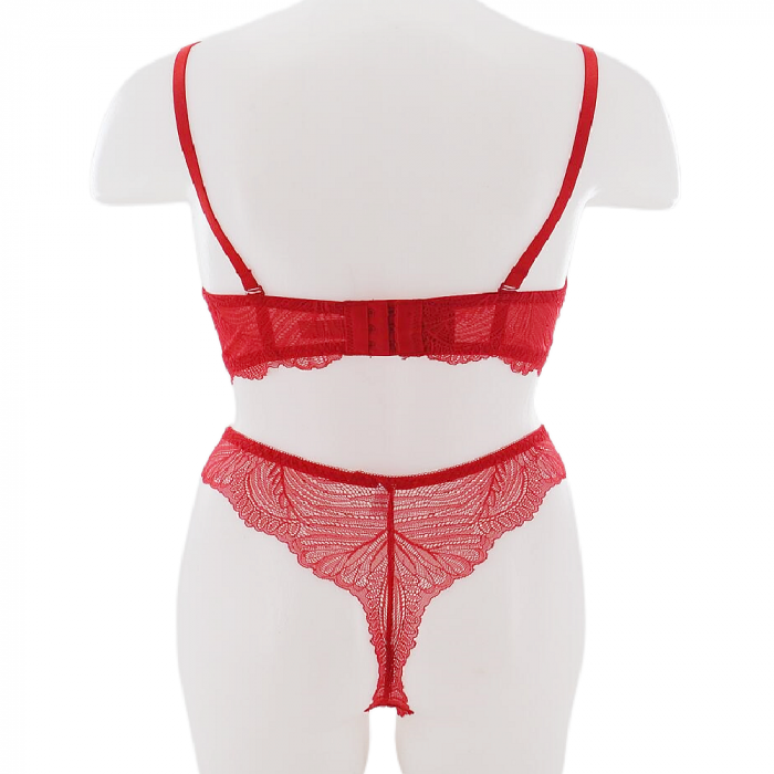 Set doua piese lenjerie intima, sutien cu push-up si chiloti brazilieni D-30rosu [2]