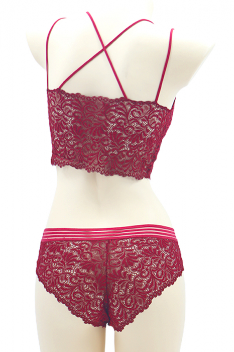 Set 2 piese lenjerie intima, top si chiloti brazilieni SMT8837visiniu [2]