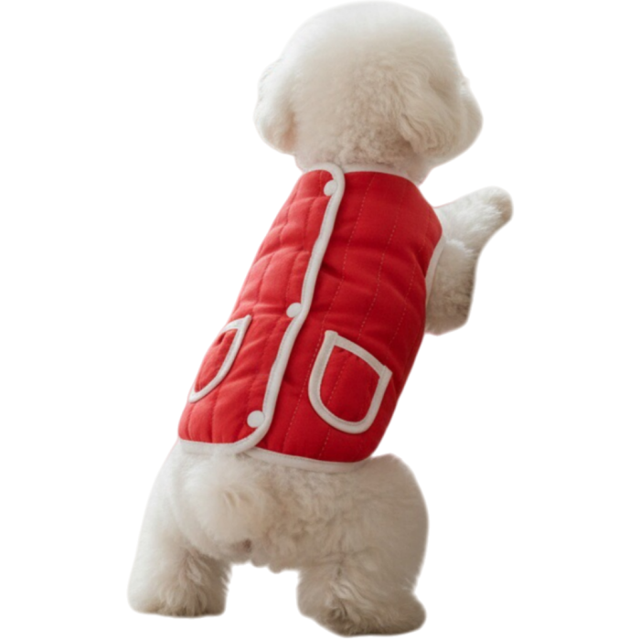 Vesta calduroasa XQ-01 [7]