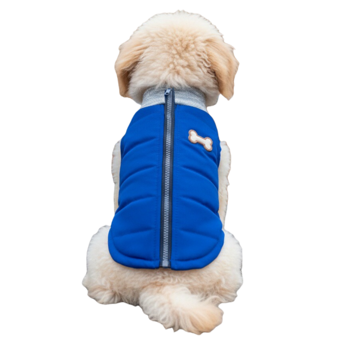 Vesta XINA2113albastru [5]