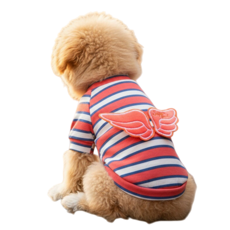 Animale de companie - Bluza ingeras MDL-06B