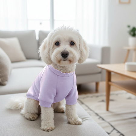 Haine - Bluza MDL-13