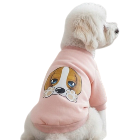 Haine - Bluza MDL-14B