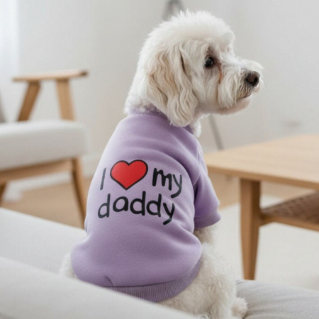 Haine - Bluza MDL-26B