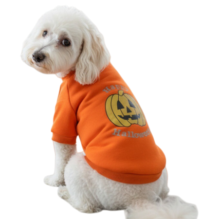 HALLOWEEN - Bluza pentru Halloween MDL-25