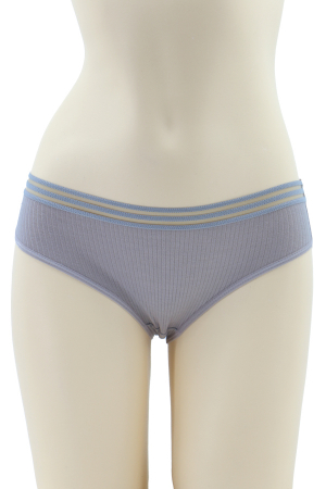 Chiloți clasici - Chiloti clasici din material elastic WNS-T15gri albastrui