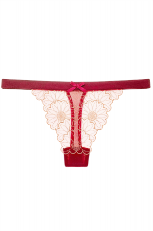 Chiloți sexy - Chiloti sexy tanga transparenti cu accente de dantela ZR2272visiniu