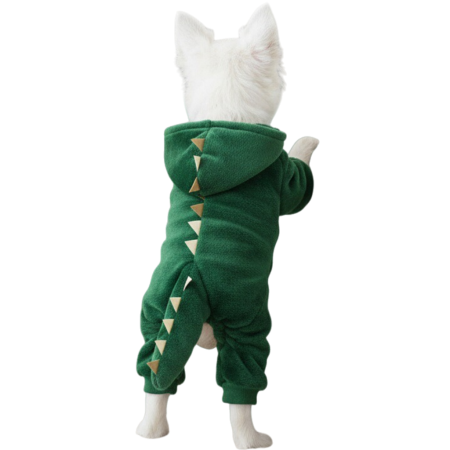 Haine - Costumas de dinozaur cu gluga XINA2104verde