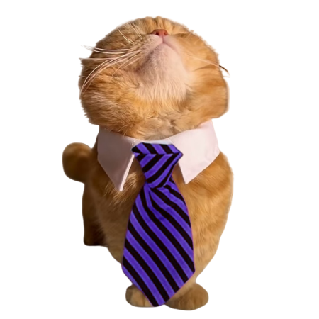 Accesorii animale de companie - Cravata ajustabila YYP-LL19-B
