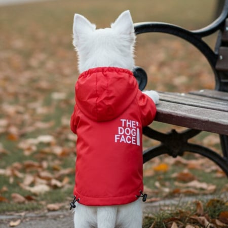 Haine - Geaca cu gluga MDL-2410rosu