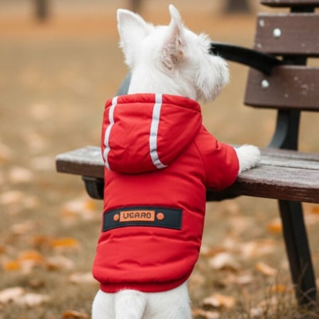 Animale de companie - Geaca cu gluga MDL-2417rosu