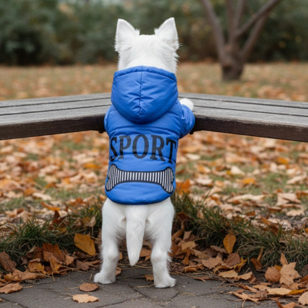 Haine - Geaca cu gluga MDL-2418albastru