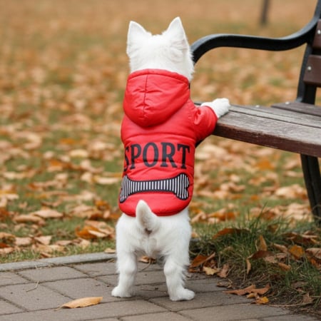 Haine - Geaca cu gluga MDL-2418rosu