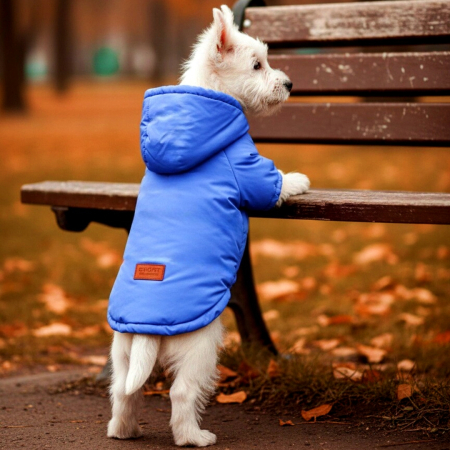 Animale de companie - Geaca cu gluga YYP-LL04albastru