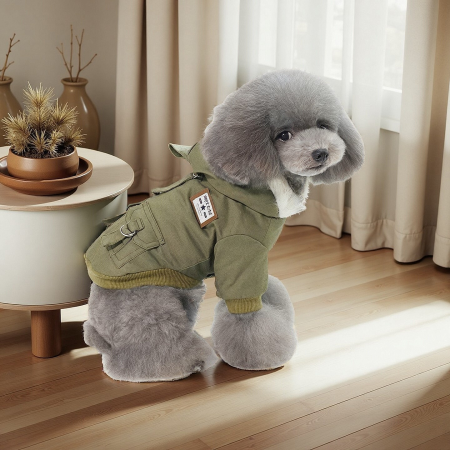 Haine - Jacheta imblanita cu gluga DOG-17verde