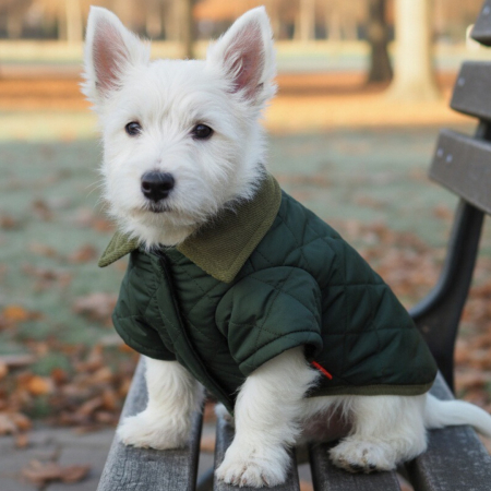 Haine - Geaca flausata XINA2123verde