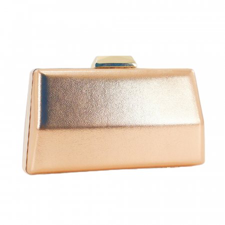 Accesorii - Geanta ocazie 10095champagne