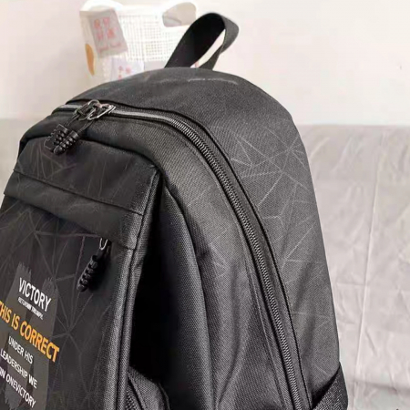 Ghiozdane - Ghiozdan/rucsac pentru scoala sau calatorii ZY-916A