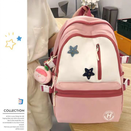 Ghiozdane - Ghiozdan/rucsac pentru scoala sau calatorii ZY-2307roz