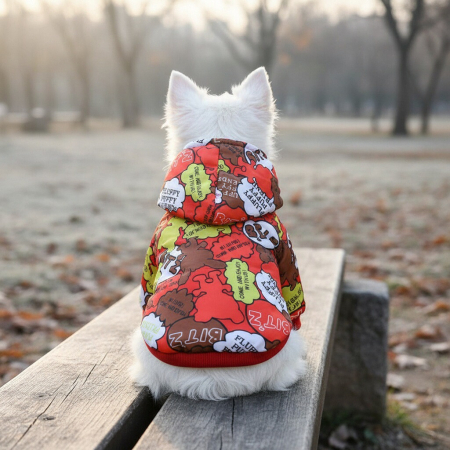 Haine - Hanorac cu gluga 20B04rosu