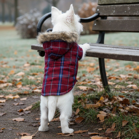 Hanorac cu gluga XINA2119rosu [4]