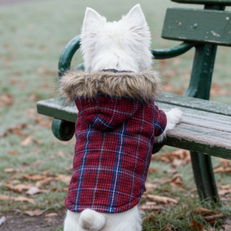 Hanorac cu gluga XINA2119rosu [3]