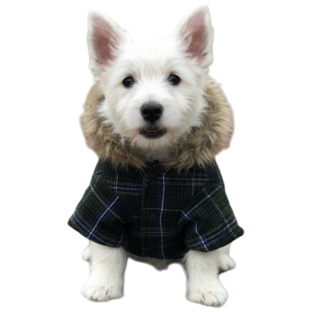 Hanorac cu gluga XINA2119verde [10]