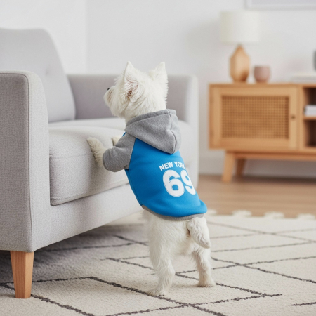 Haine - Hanorac cu gluga XINA2314albastru