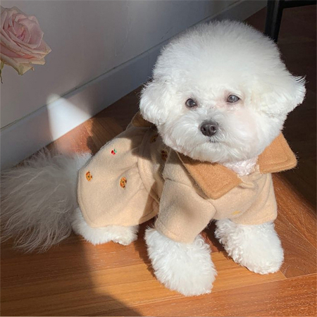 Animale de companie - Rochita flausata XPG-2