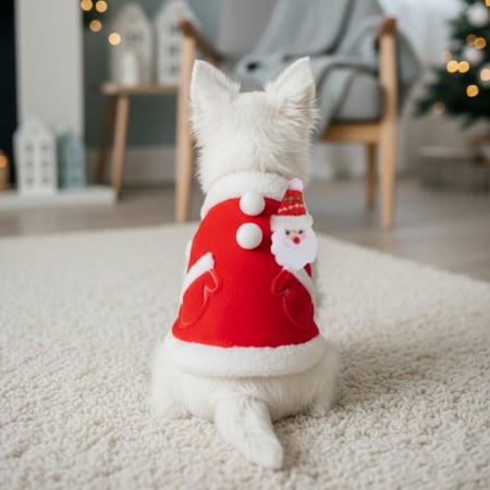 Hanorac flausat pentru Craciun RTS064