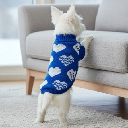 Haine - Pulover tricotat XINA2204albastru