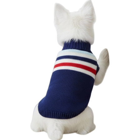 Haine - Pulover XINA2211albastru