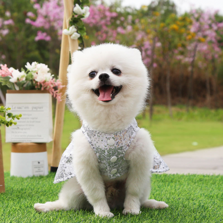Animale de companie - Rochita cu fundita si paiete decorative 223A03alb
