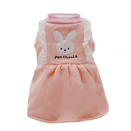 Animale de companie - Rochita flausata cu insertii dantela XPG-3