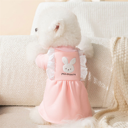 Animale de companie - Rochita flausata cu insertii dantela XPG-3