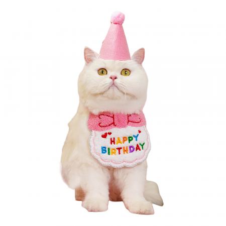 Accesorii animale de companie - Set accesorii aniversare, bandana si mini palarie 168-A07D01