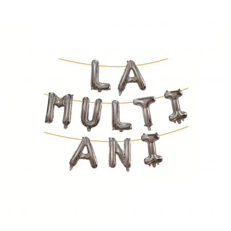 Articole party - Set aranjament baloane 10 litere ' La multi ani ' 6 m x 40 cm LM0737
