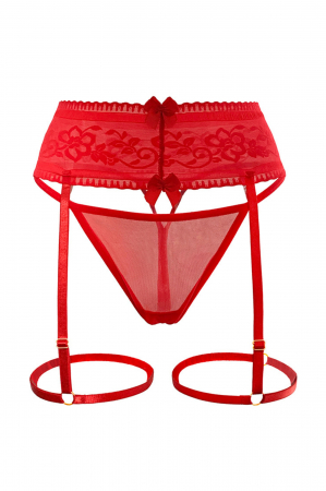 Lenjerie erotică - Set chiloti tanga si portjartier LH2069rosu