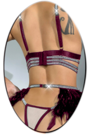 Lenjerie erotică - Set lenjerie erotica, sutien, chiloti tanga si portjartiera cu benzi elastice TY-LX185visiniu