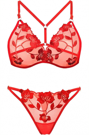 Lenjerie erotică - Set lenjerie erotica transparenta cu dantela brodata, sutien si chiloti tanga LH9304rosu