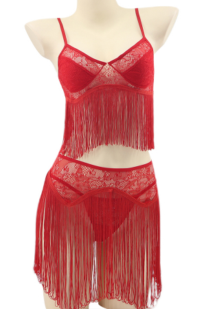 Lenjerie erotică - Set lenjerie senzuala cu franjuri, top, fustita si chiloti tanga TY-S440rosu